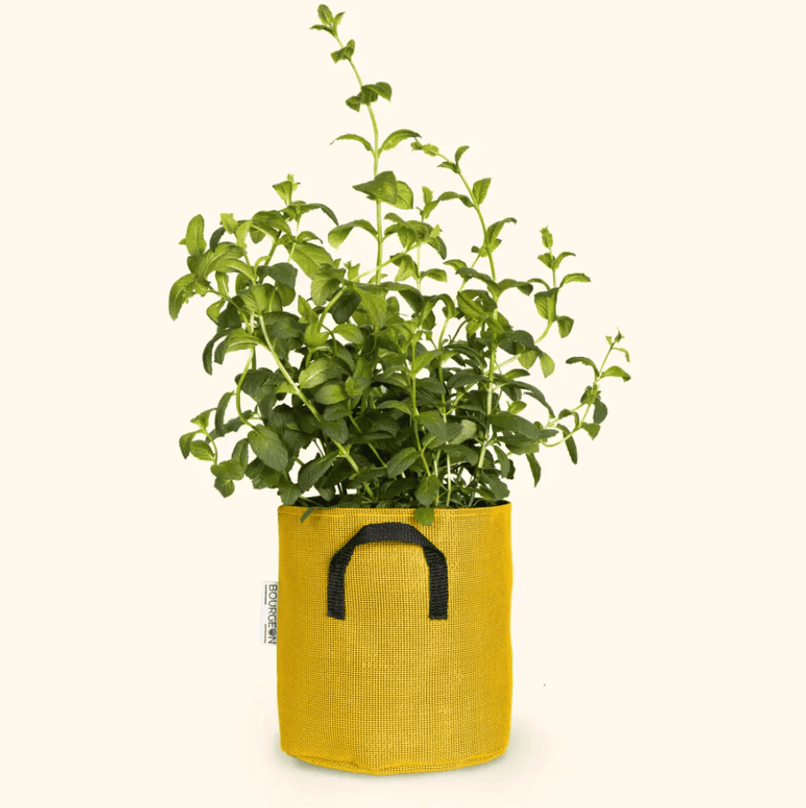 Pots respirants en géotextile le secret des plantes plus belles, plus fortes et plus productives